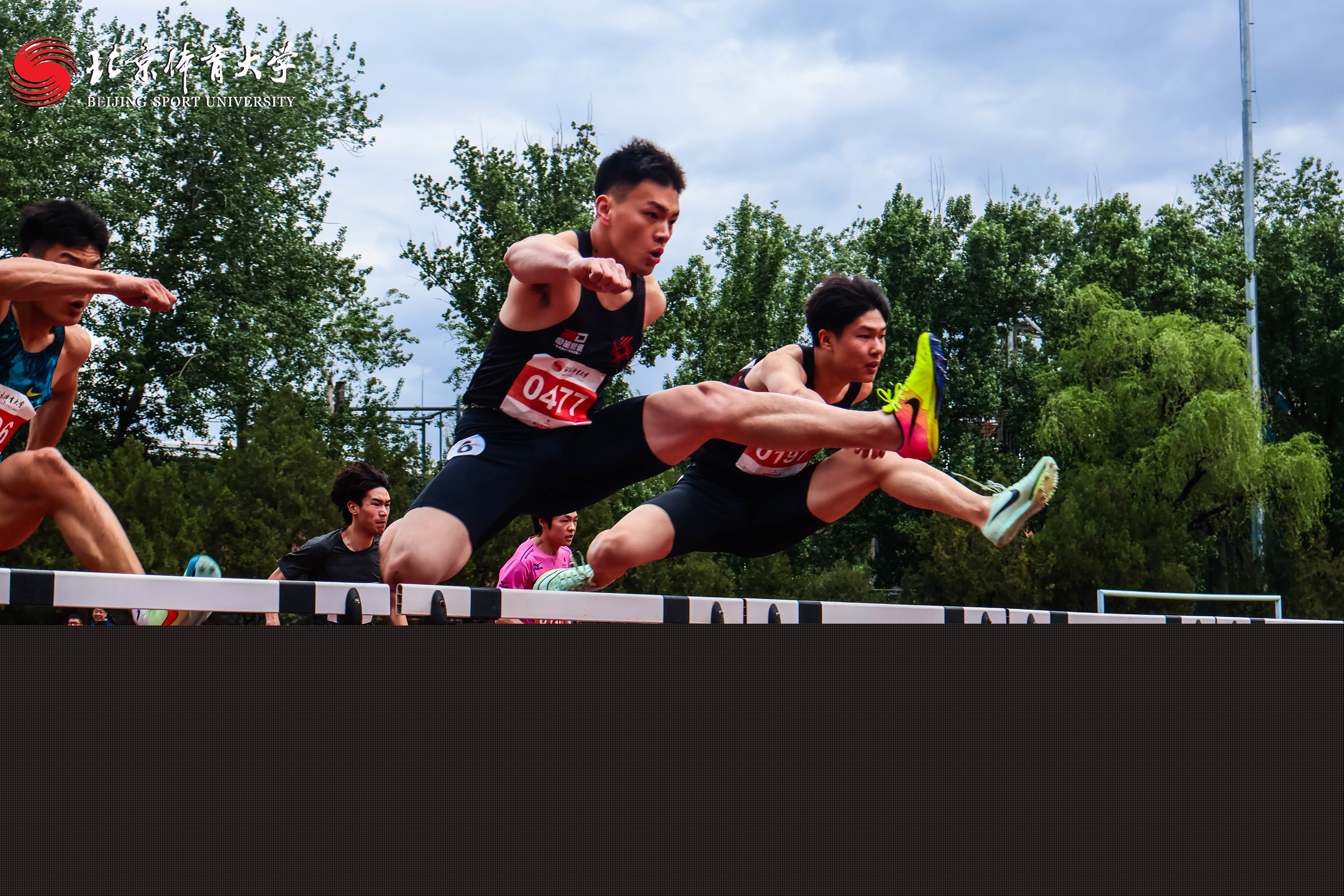 122924418285423cabdc303d87266d5a.jpg